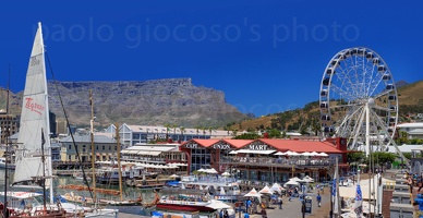 p.giocoso-1013-South Africa-113
