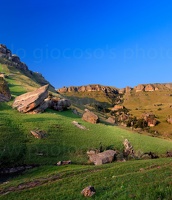 p.giocoso-1013-South Africa-021