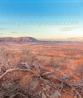 p.giocoso-0419-South Australia Landscapes-Flinders-008