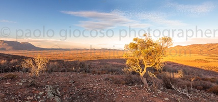 p.giocoso-0419-South Australia Landscapes-Flinders-010