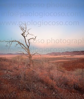 p.giocoso-0419-South Australia Landscapes-Flinders-013