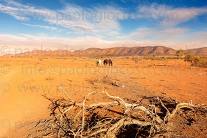 p.giocoso-0419-South Australia Landscapes-Flinders-014