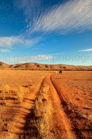 p.giocoso-0419-South Australia Landscapes-Flinders-015