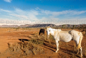 p.giocoso-0419-South Australia Landscapes-Flinders-017