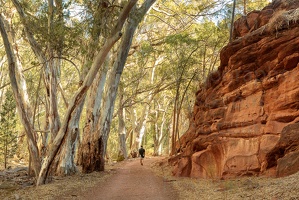 p.giocoso-0419-South Australia Landscapes-Flinders-034