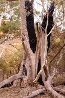 p.giocoso-0419-South Australia Landscapes-Flinders-036