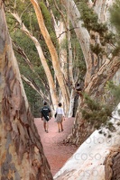 p.giocoso-0419-South Australia Landscapes-Flinders-037