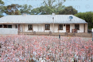 p.giocoso-0419-South Australia Landscapes-Flinders-060