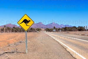 p.giocoso-0419-South Australia Landscapes-Flinders-066