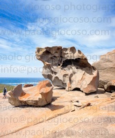 p.giocoso-0419-South Australia-Landscapes-Kangaroo-096
