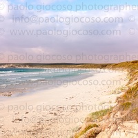 p.giocoso-0419-South Australia-Landscapes-Kangaroo-140