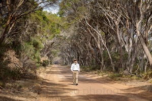 p.giocoso-0419-South Australia-Landscapes-Kangaroo-144