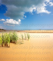 p.giocoso-0119-Wilds Beach West Sicily-021