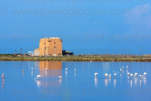 p.giocoso-0119-Wilds Beach West Sicily-044