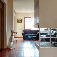 p.giocoso-1020-home renting collection (no name-privacy code assigned)-122