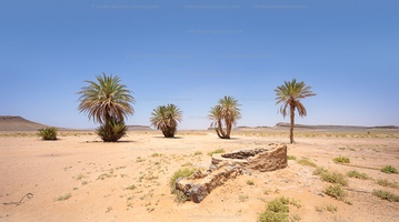 p.giocoso-0221-South Morocco-167