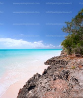 -p.giocoso-0322-Cat Island Bahamas-006-