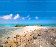 -p.giocoso-0322-Cat Island Bahamas-013-