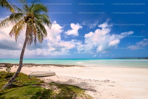 -p.giocoso-0322-Cat Island Bahamas-015-