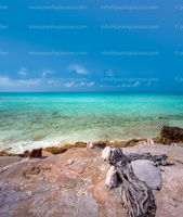 -p.giocoso-0322-Cat Island Bahamas-018-