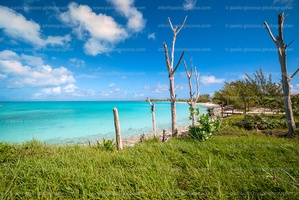 -p.giocoso-0322-Cat Island Bahamas-100-