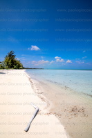 -p.giocoso-0123-Andros Bahamas-046