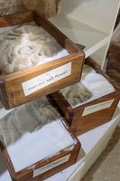 p.giocoso-0125- Zara & archipelago--126