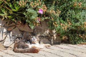 p.giocoso-0125- Zara & archipelago--157