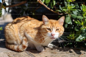 p.giocoso-0125- Zara & archipelago--158