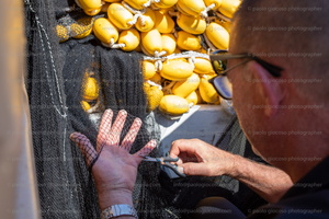 p.giocoso-0125- Zara & archipelago--169